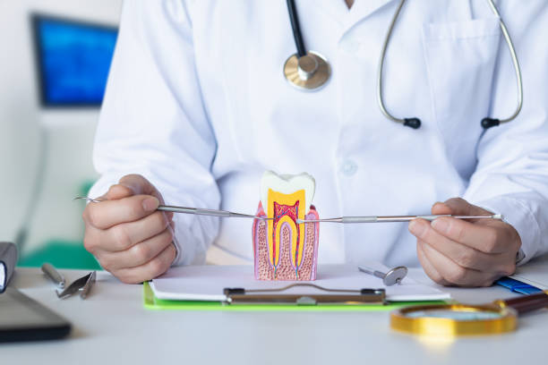Best Chipped Tooth Repair Near Me  in Saluda, SC